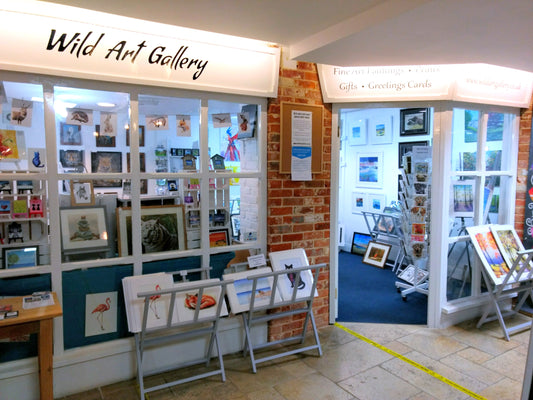 Wild Art Gallery - 1 year on...