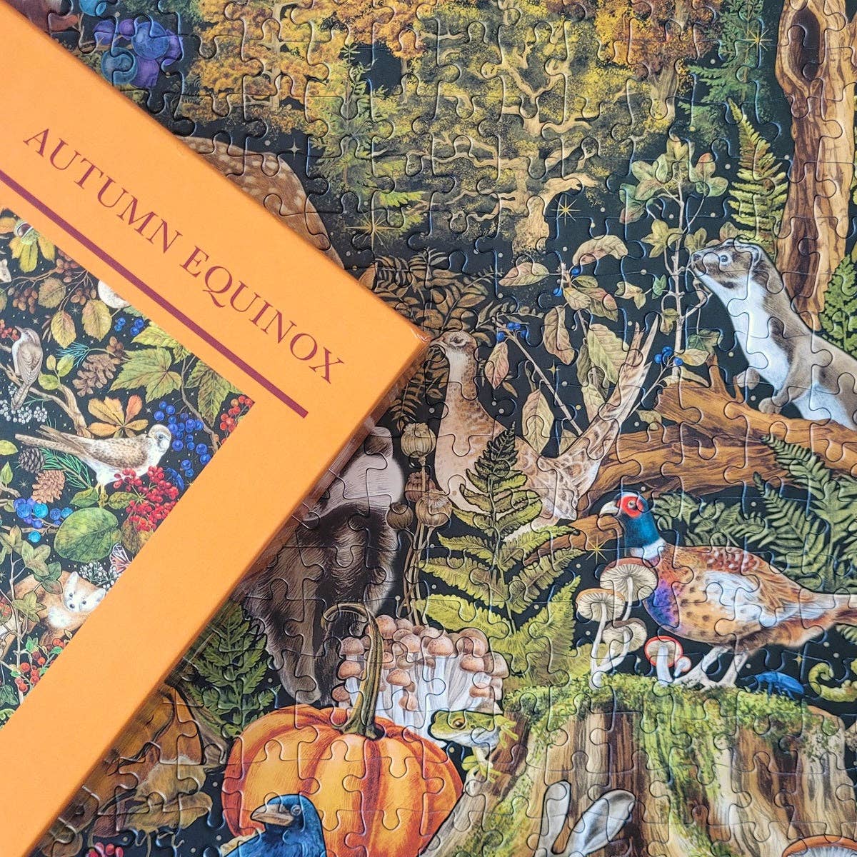 The Art File: Autumn Equinox 1000 Piece Jigsaw Puzzle