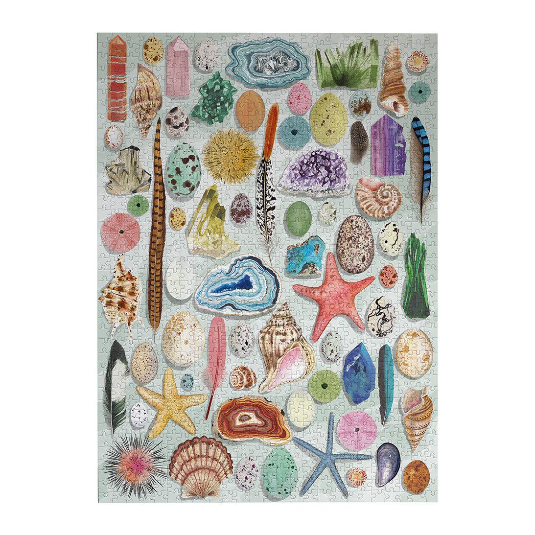 The Art File: Natural Curiosities 1000 Piece Jigsaw Puzzle