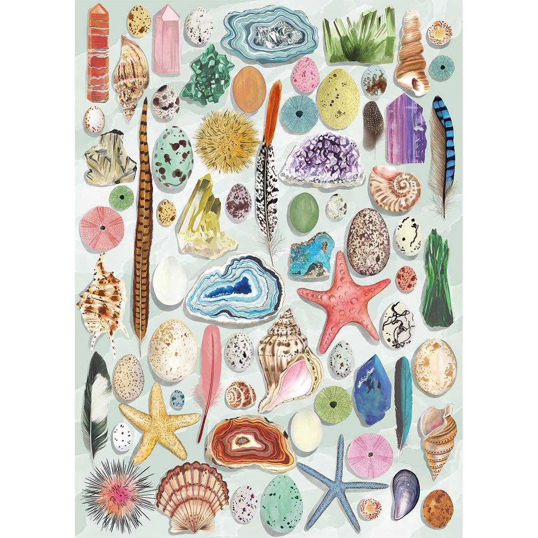 The Art File: Natural Curiosities 1000 Piece Jigsaw Puzzle