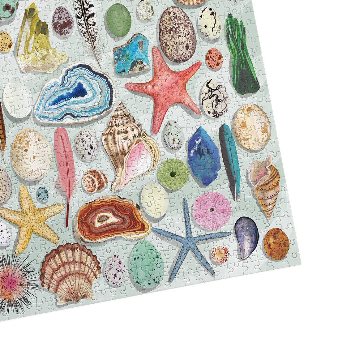The Art File: Natural Curiosities 1000 Piece Jigsaw Puzzle