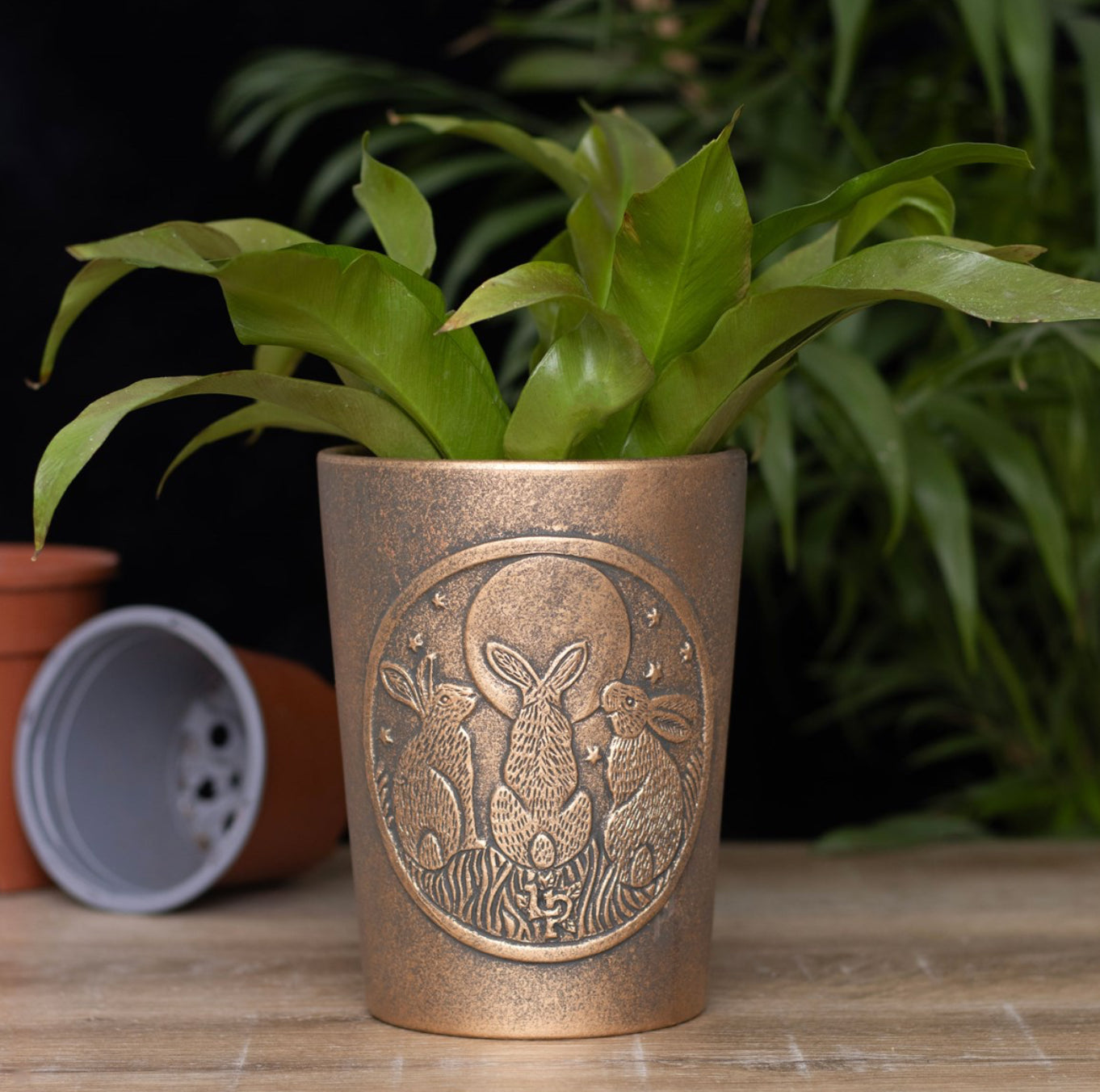 Moon Shadows Hares Terracotta Plant Pot