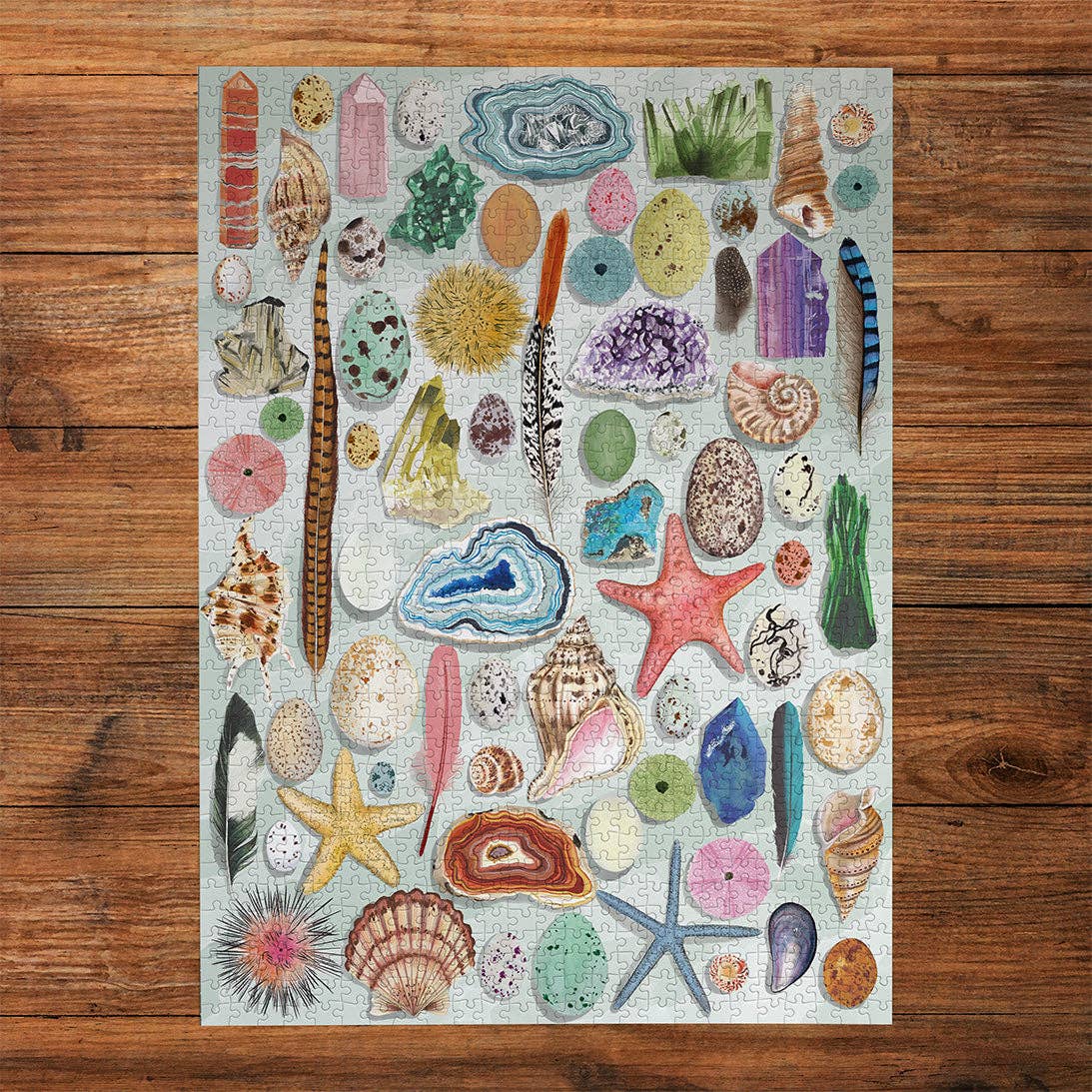 The Art File: Natural Curiosities 1000 Piece Jigsaw Puzzle