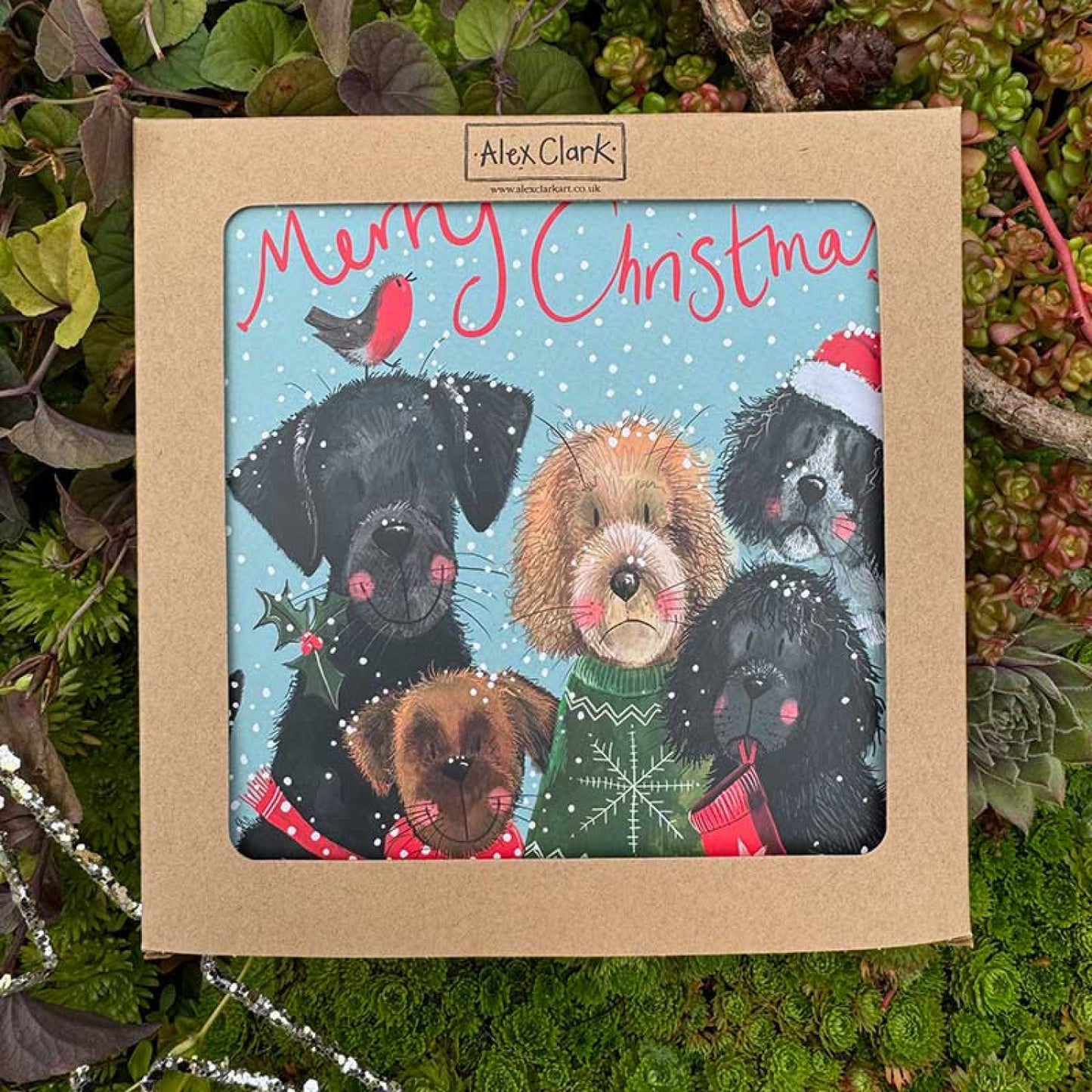 Festive Dogs Boxed Cards
