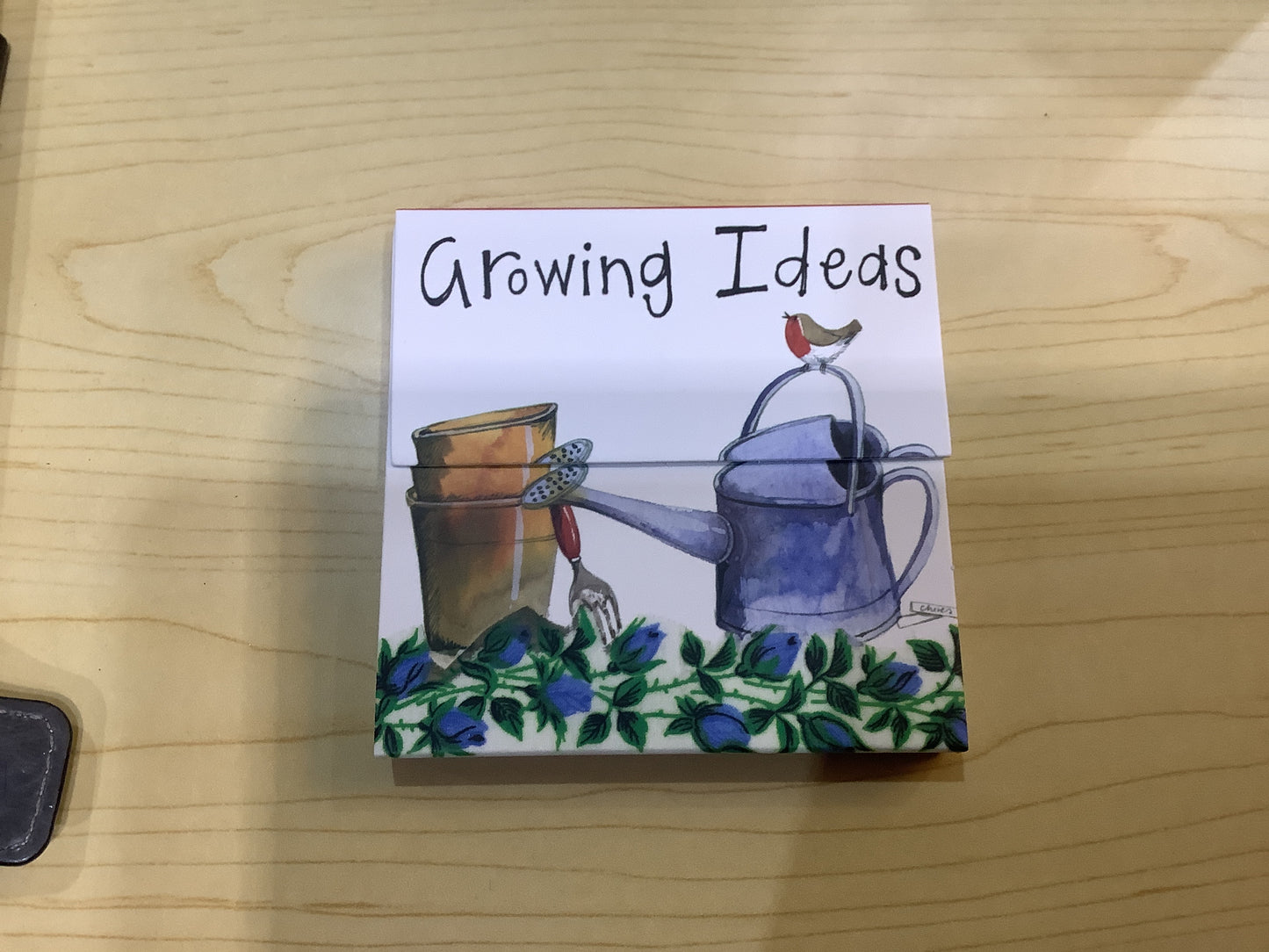 Growing Ideas Mini Magnetic Notepad