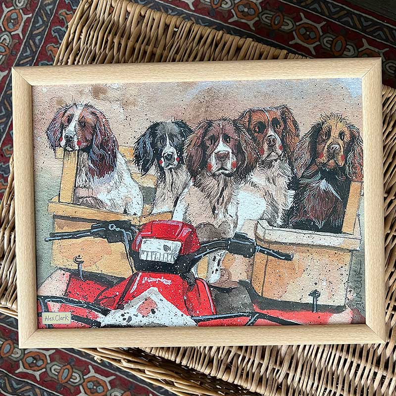 Lap Tray Spaniels