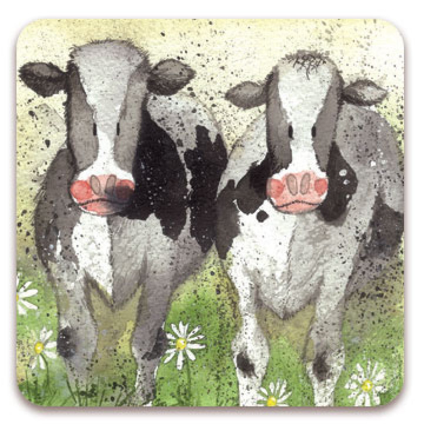Curious Cows Blank Card