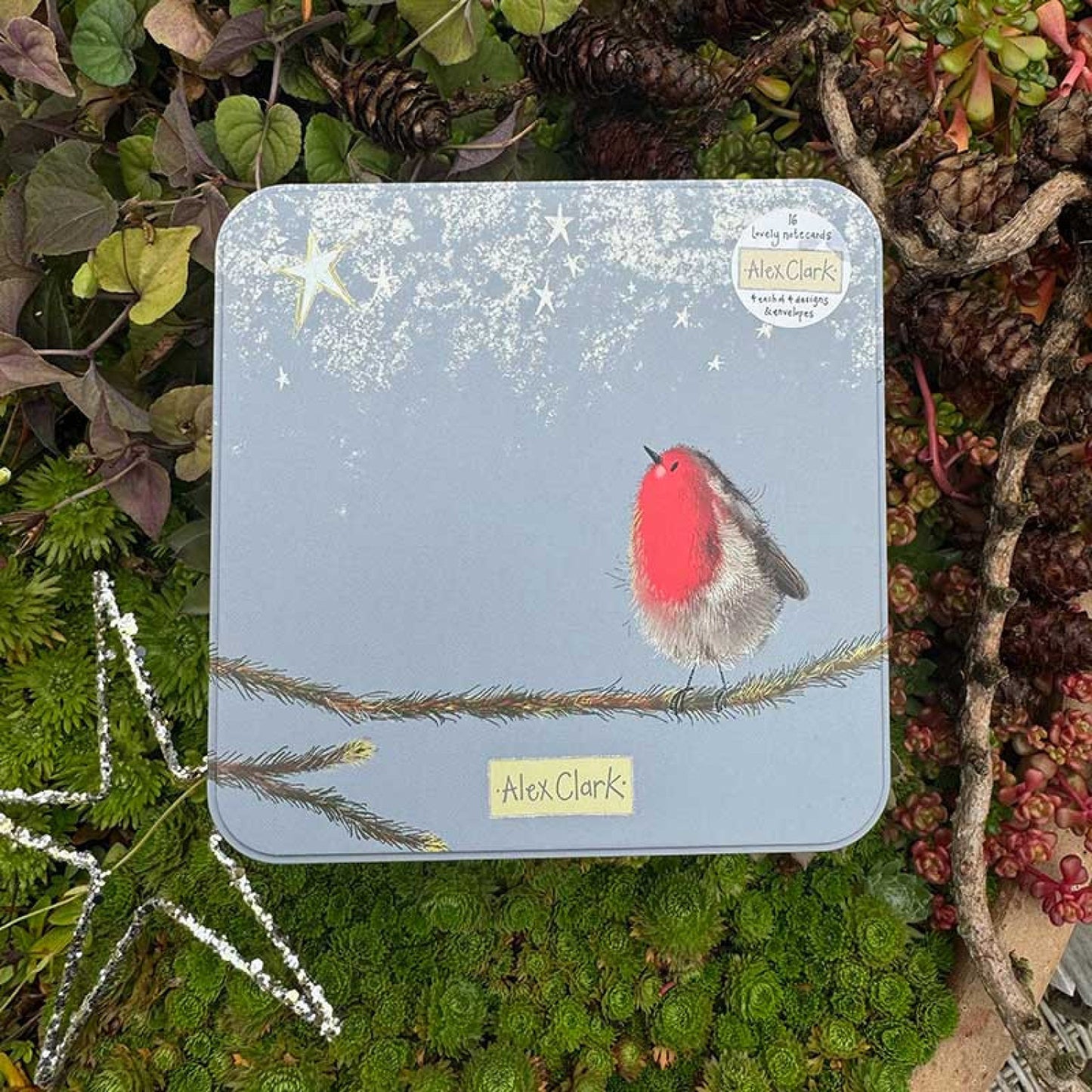 Robin Notecards Tin