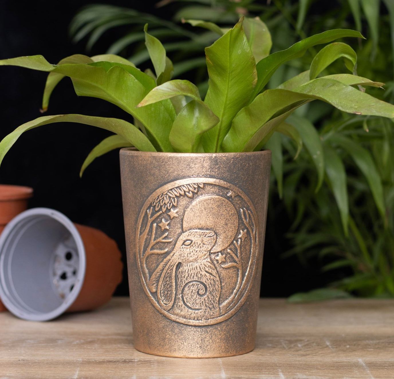 Moongazing Hare Terracotta Plant Pot