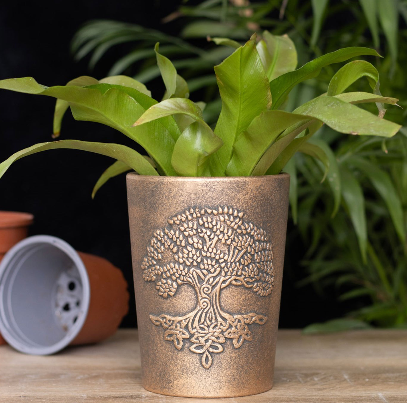Tree of Life Terracotta Plant Pot