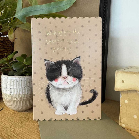 Kitten Birthday Card