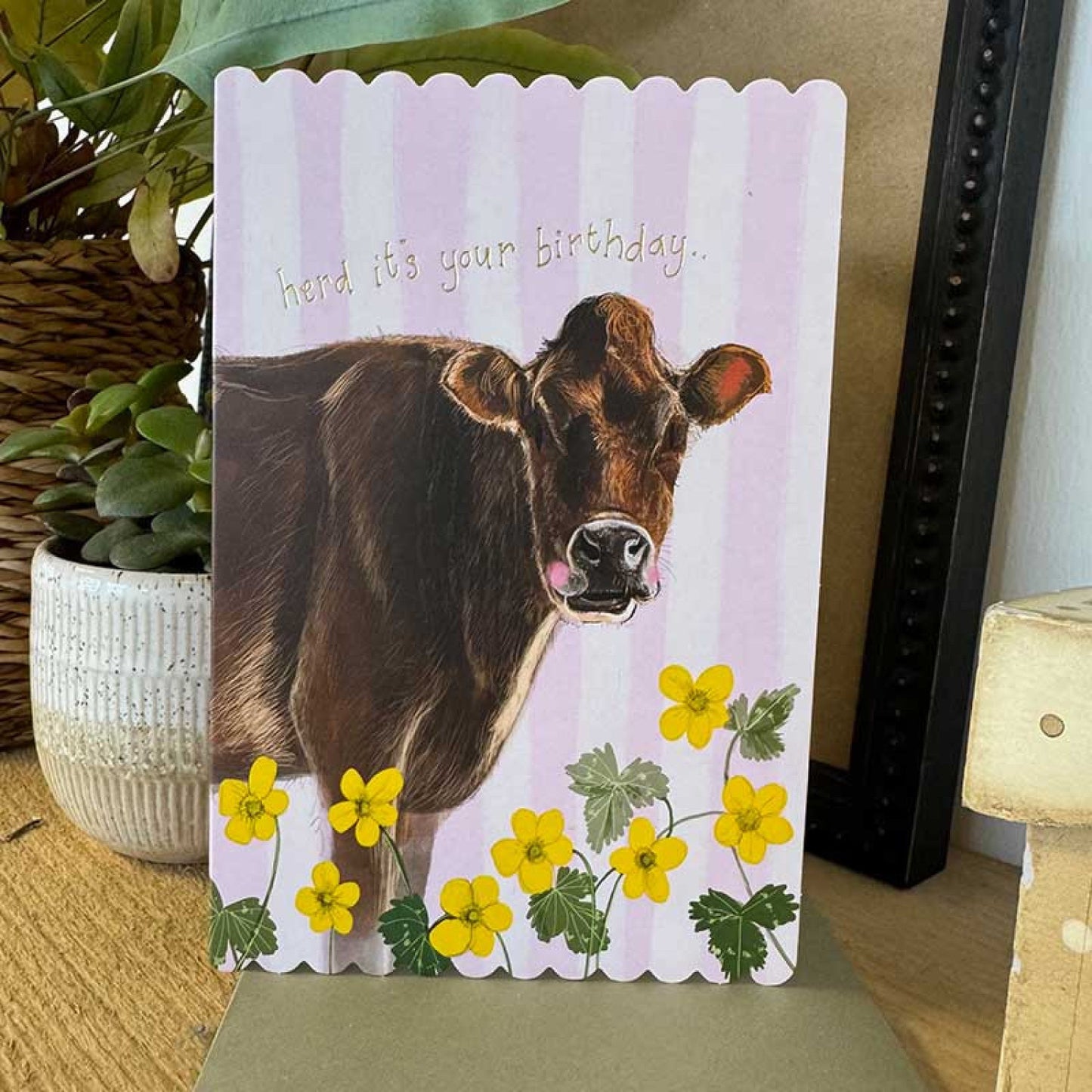 Brown Cow Birthday Card