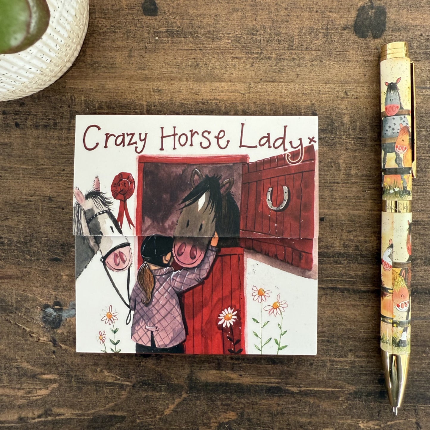 Crazy Horse Lady Mini Magnetic Notepad