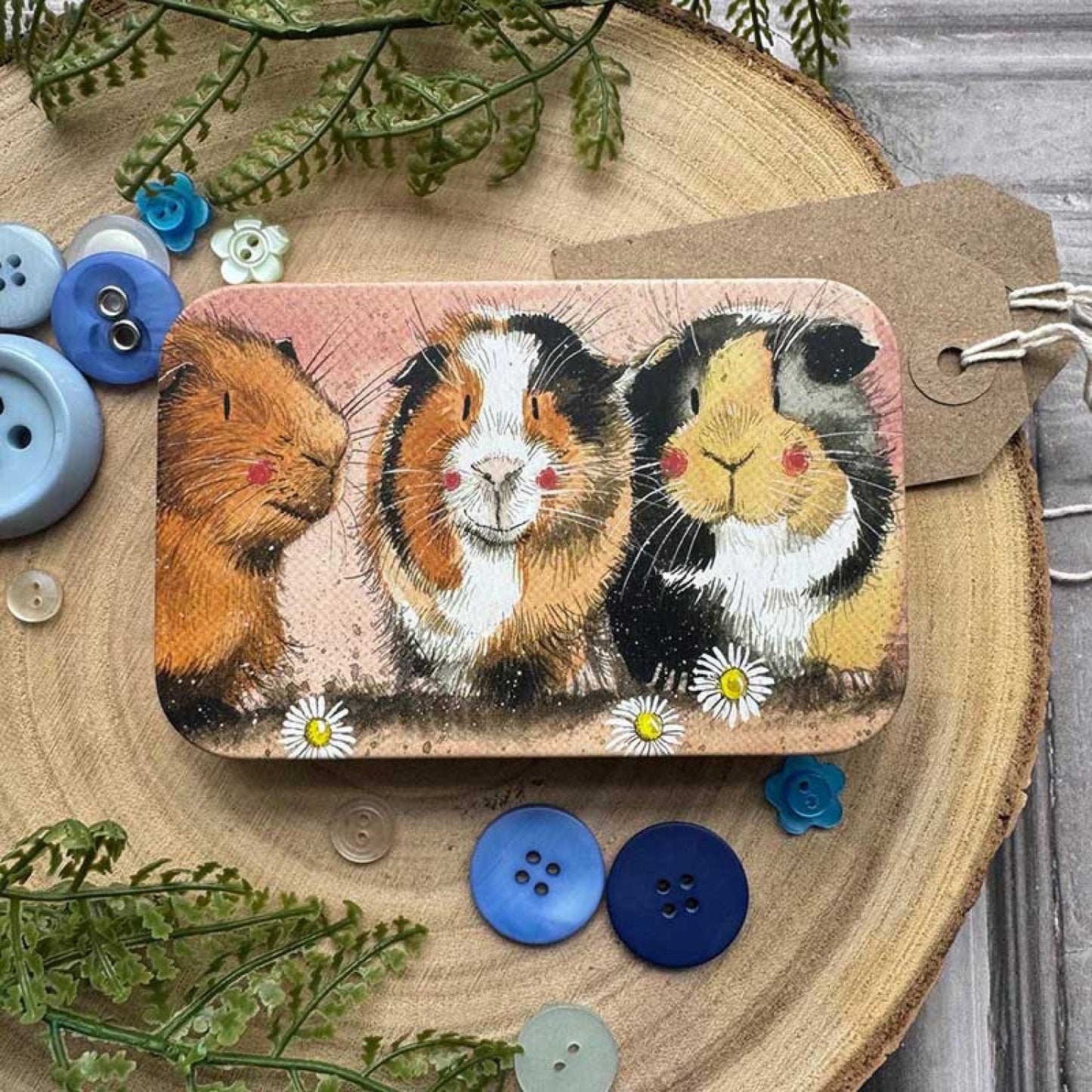 Guinea Pigs Small Tin