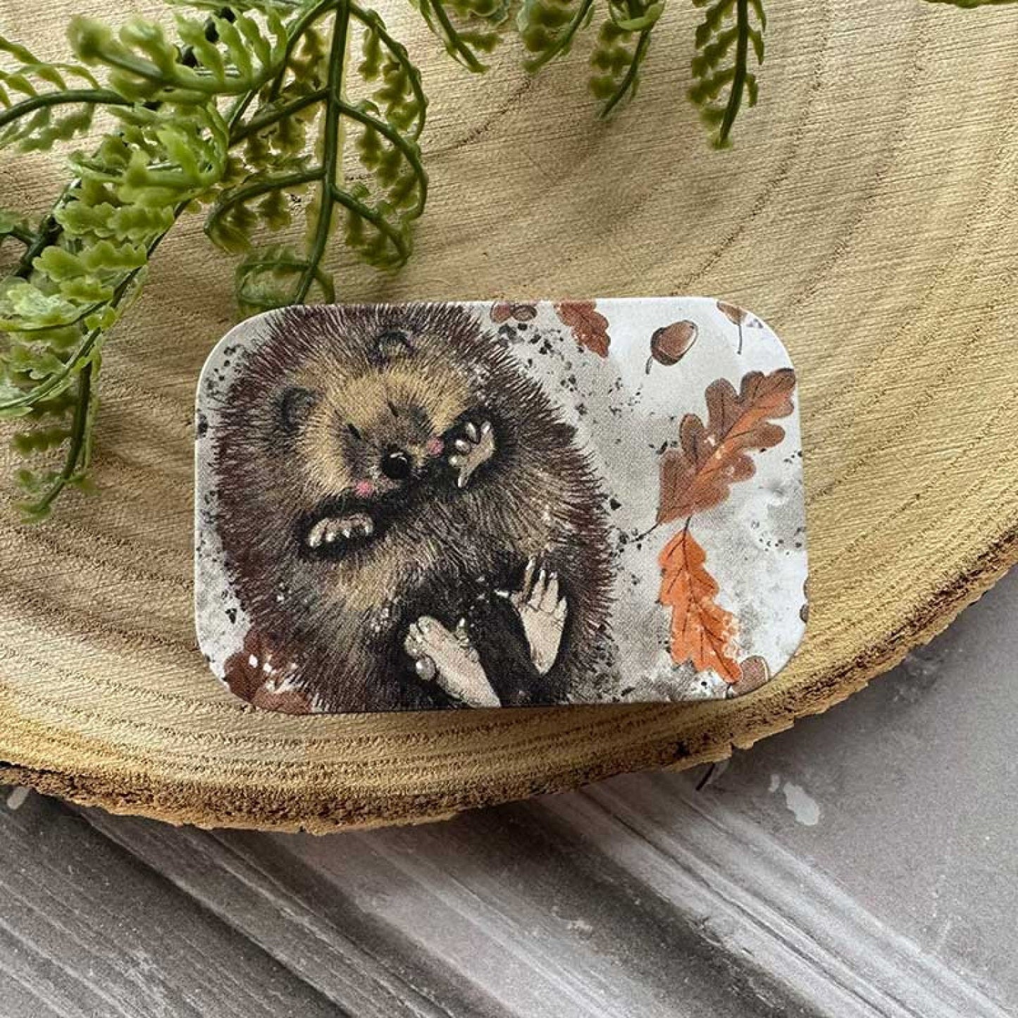 Hedgehog Sliding Tin