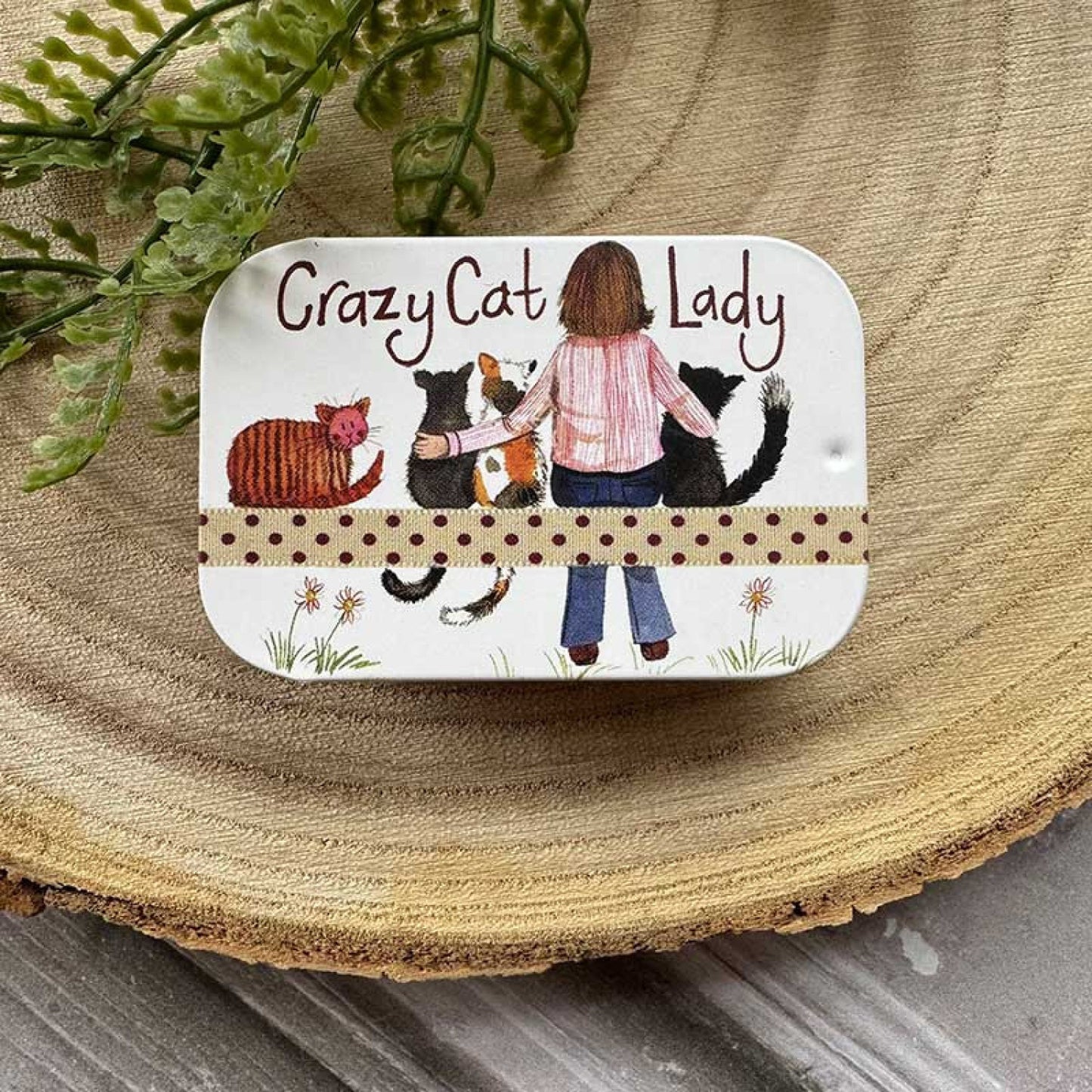 Crazy Cat Lady Sliding Tin