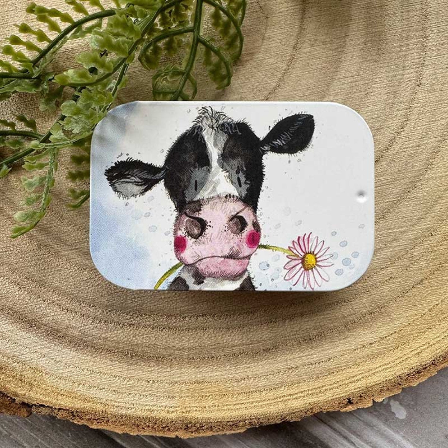 Sunshine Cow Sliding Tin