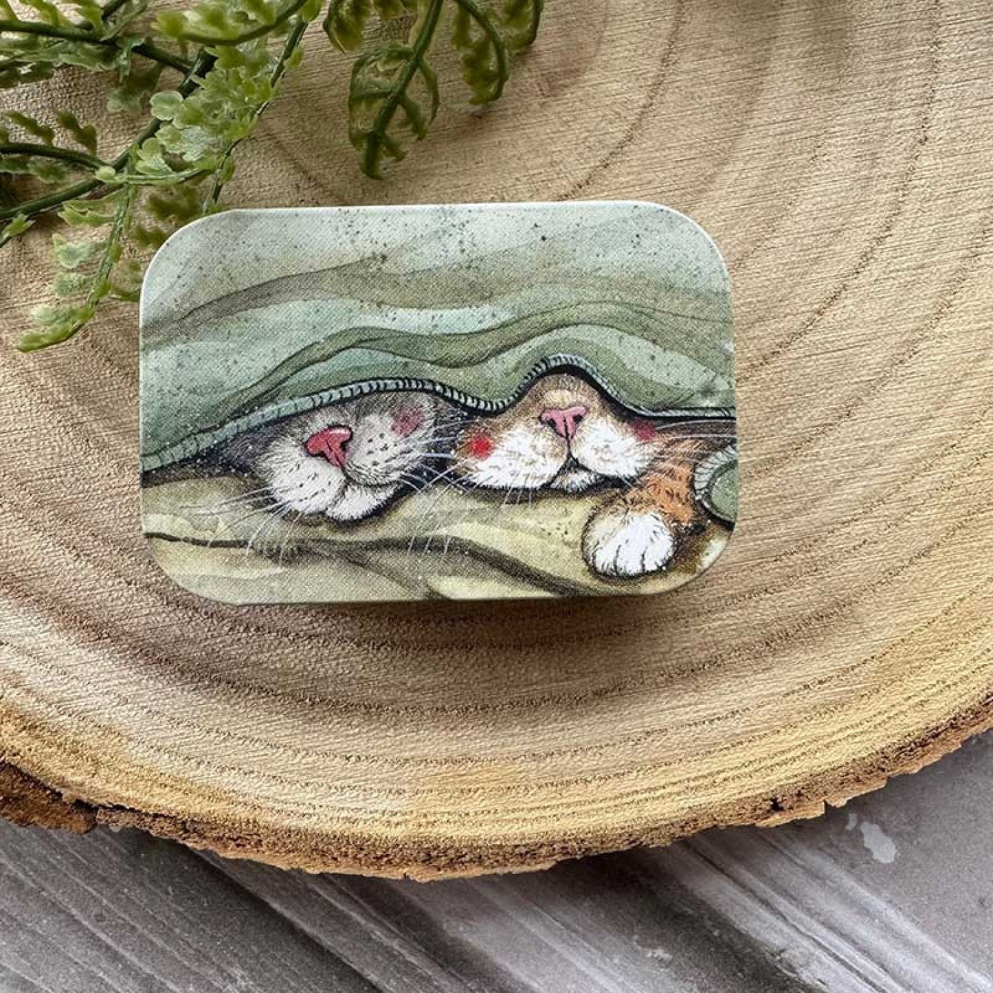 Cats Whiskers Sliding Tin