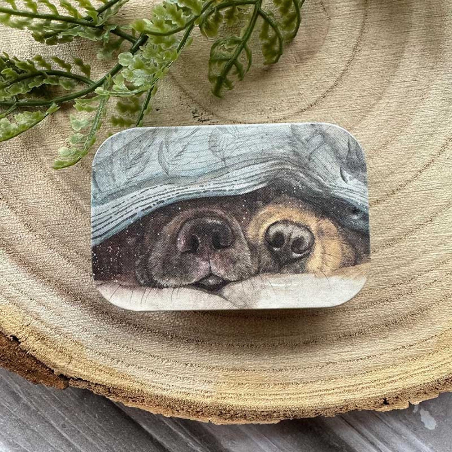 Snouts Sliding Tin
