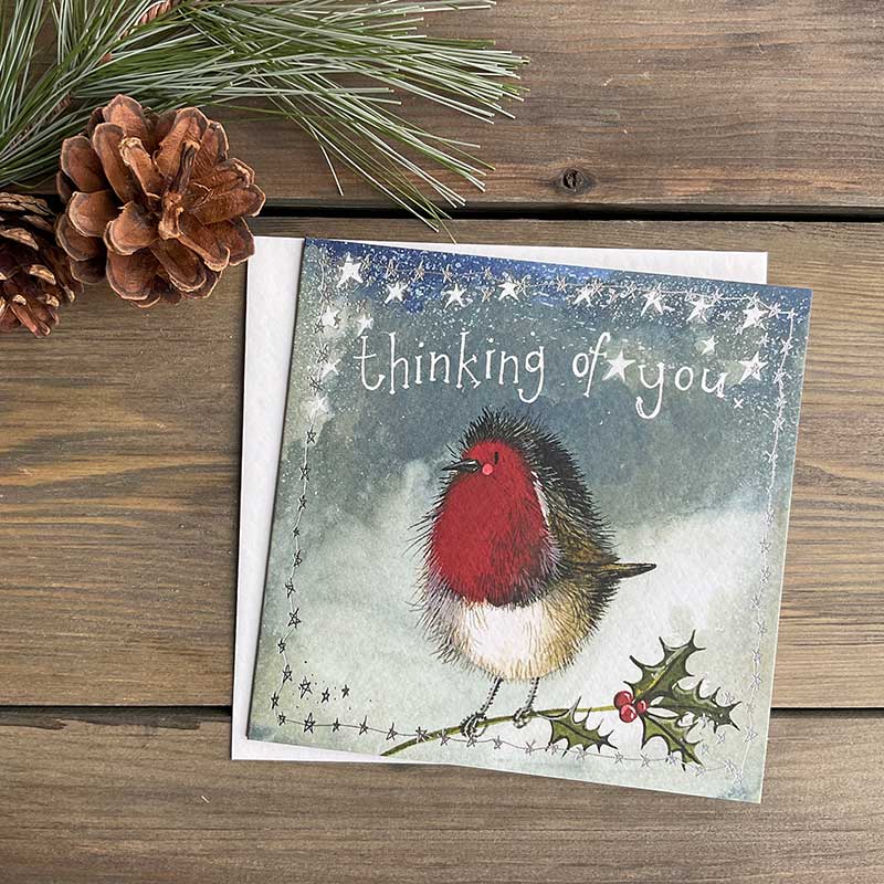 Robin Christmas Card