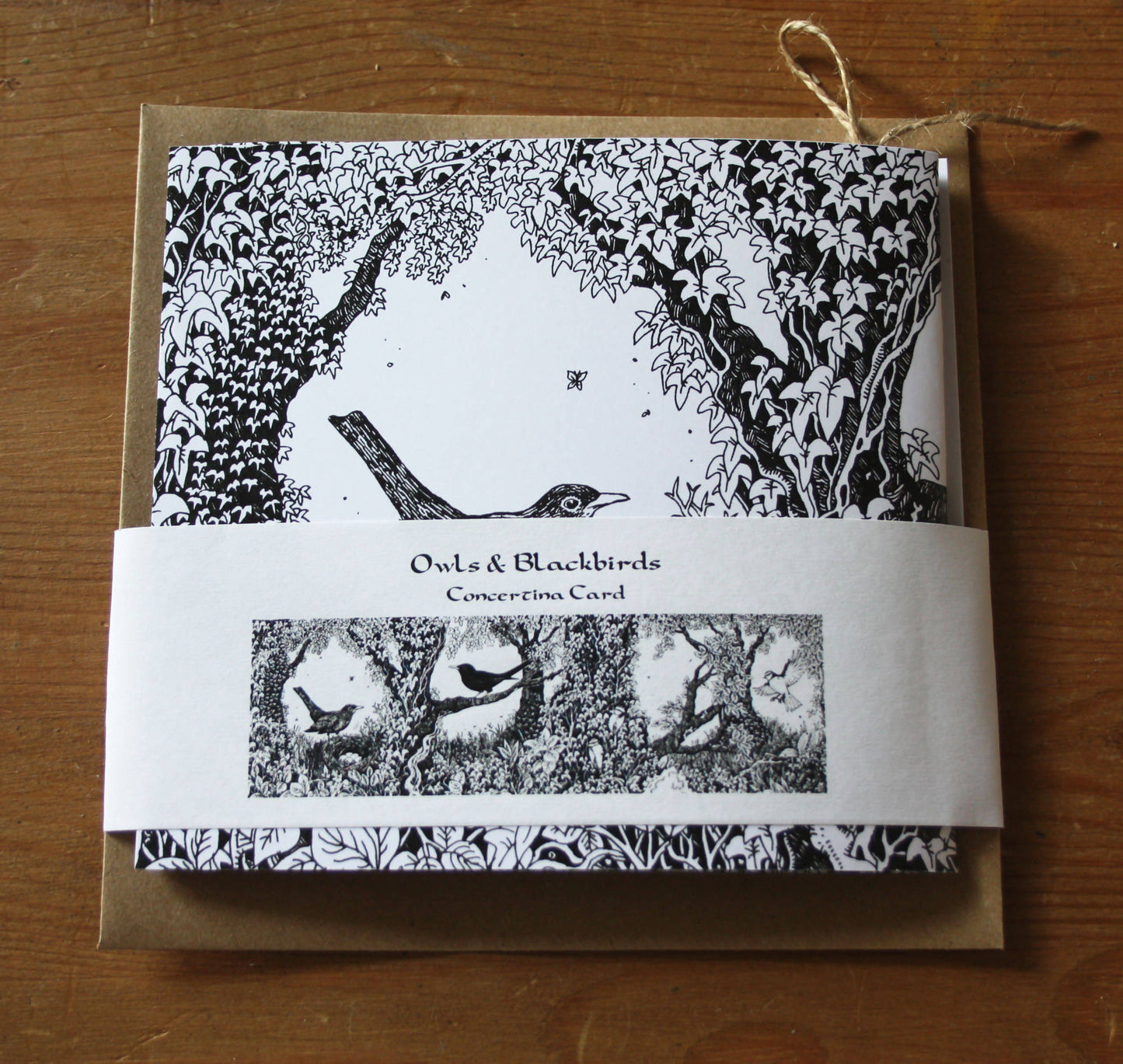 Owls and Blackbirds Concertina Greetings Card