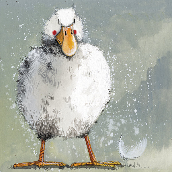 Feathers Duck Card