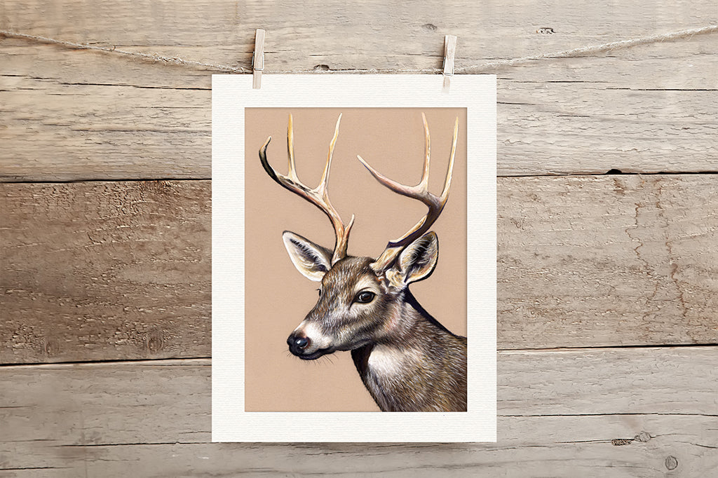 Deer Limited Edition Giclee Print