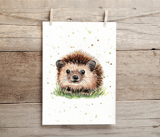 Hedgehog - A4 Print