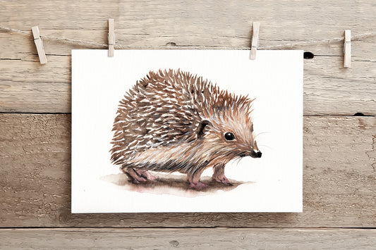 Hedgehog III - A5 Print