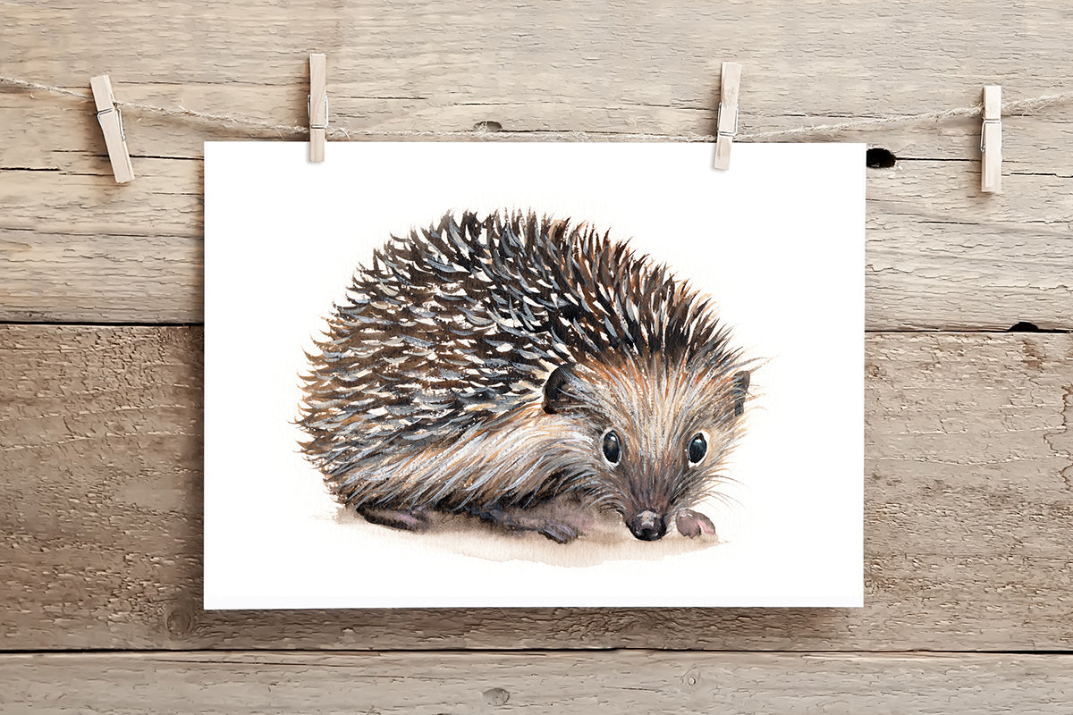 Hedgehog - A5 Print