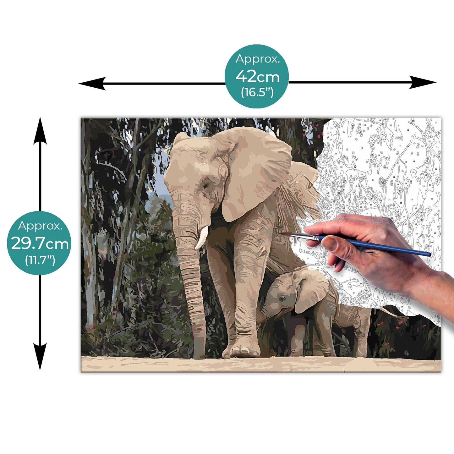 Paint By Numbers on A3 Canvas - Elephants
