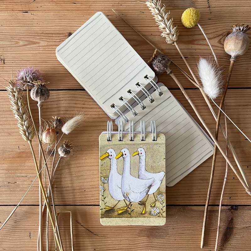 Ducks Small Spiral Bound Notepad