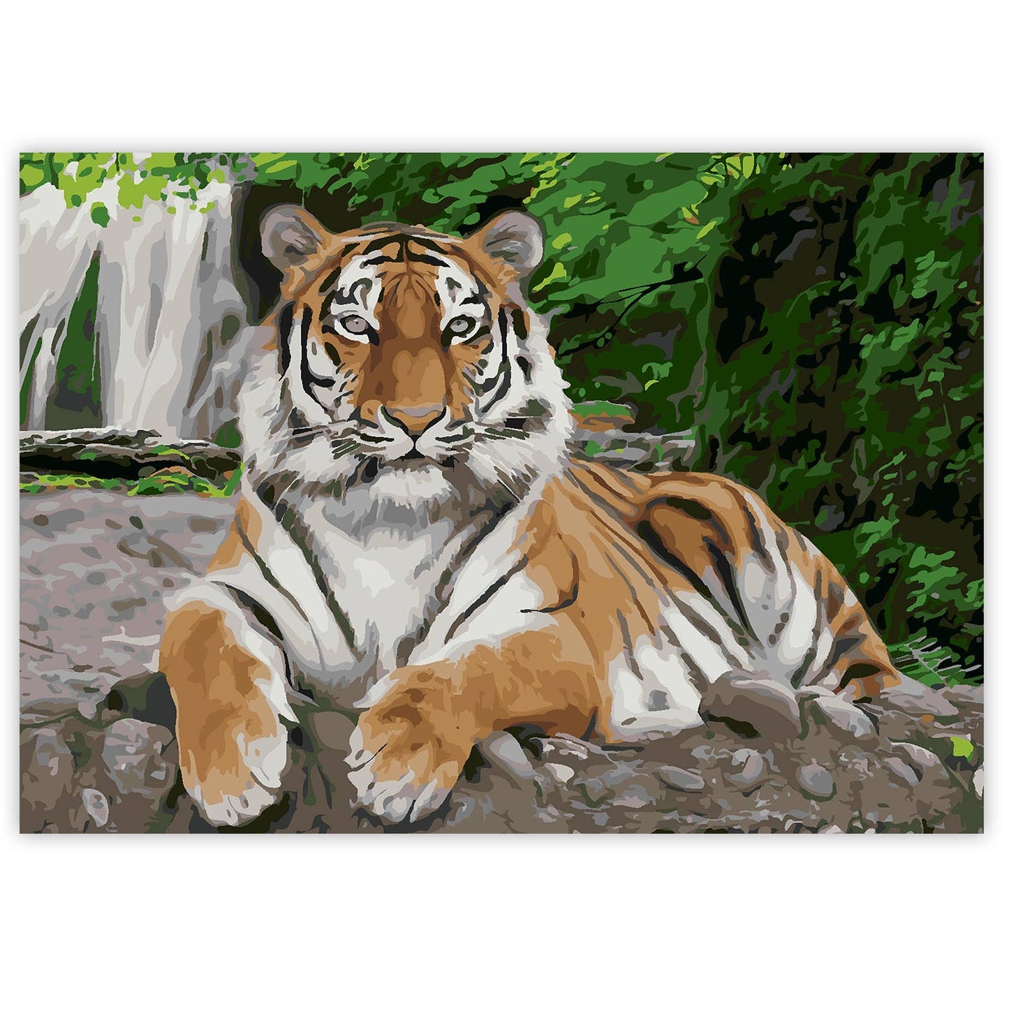Paint By Numbers on A3 Canvas - Tiger