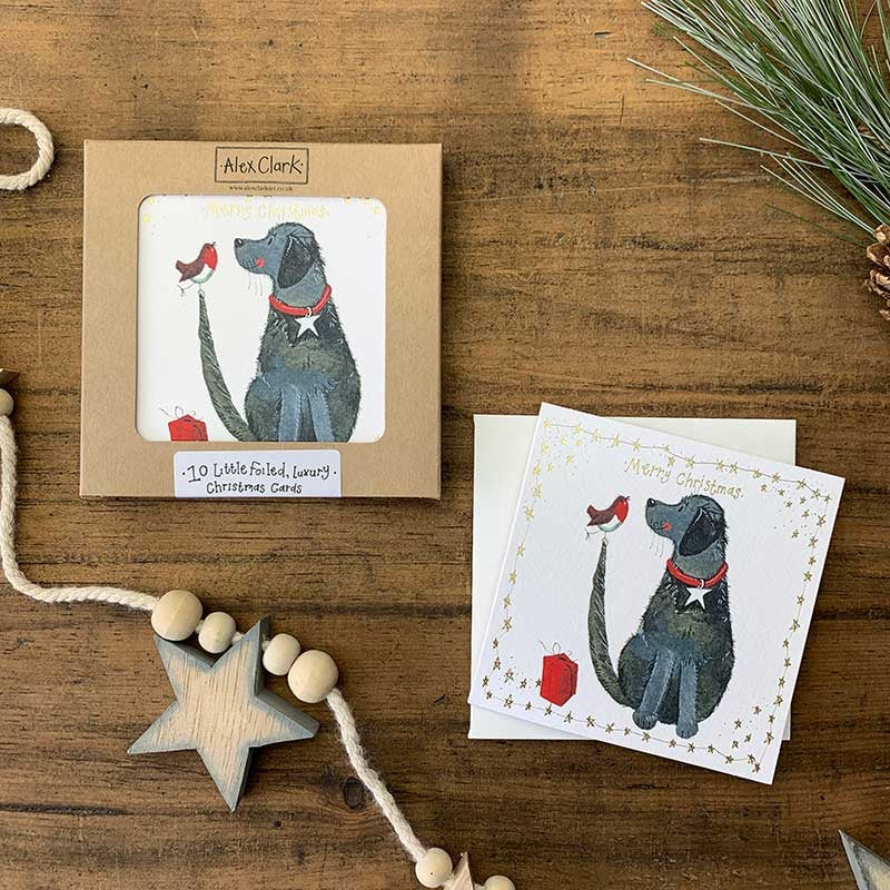 Dog and Robin Little Boxed Foiled Cards