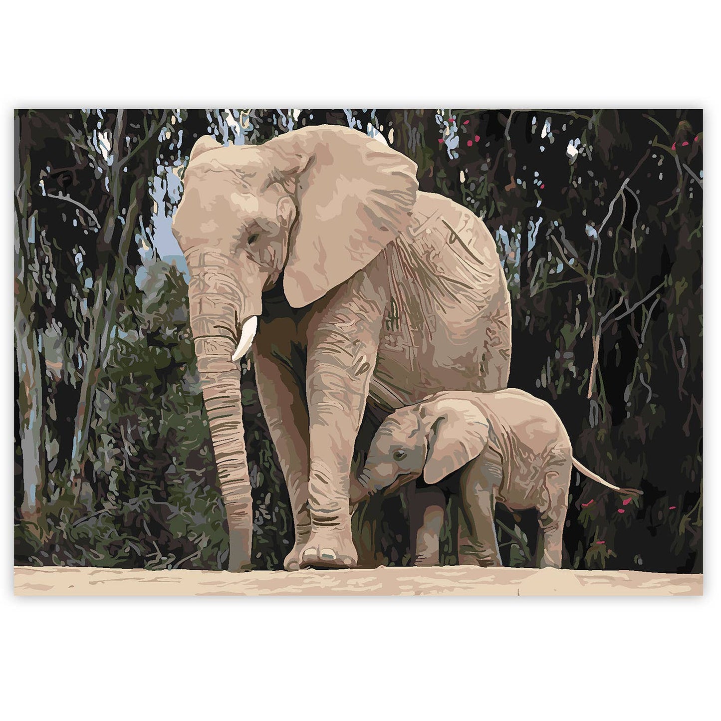 Paint By Numbers on A3 Canvas - Elephants
