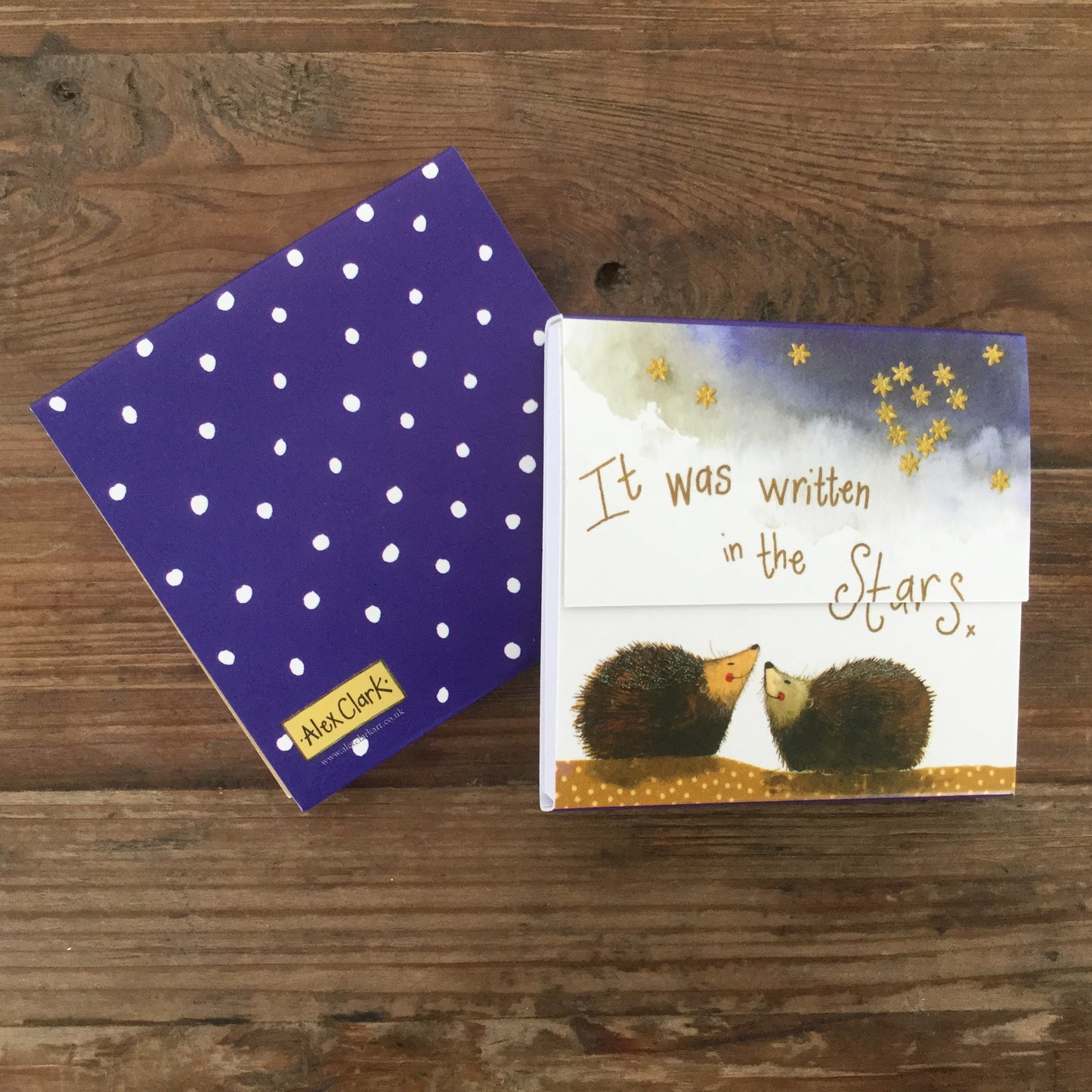 Stargazers Mini Magnetic Notepad