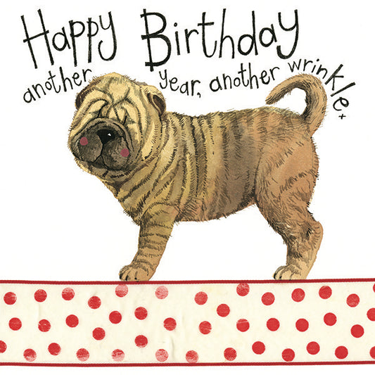 Wrinkles Greeting Card
