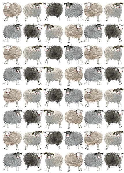 Sheep - Loose Sheet Gift Wrap