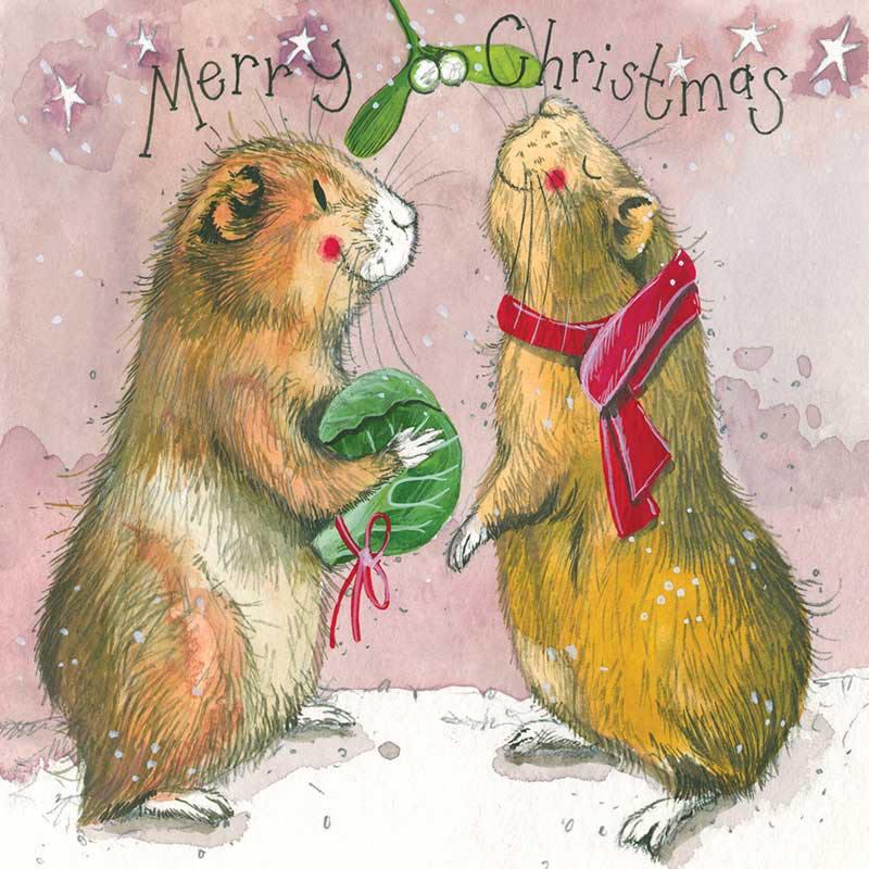 Festive Guineas Card Pack