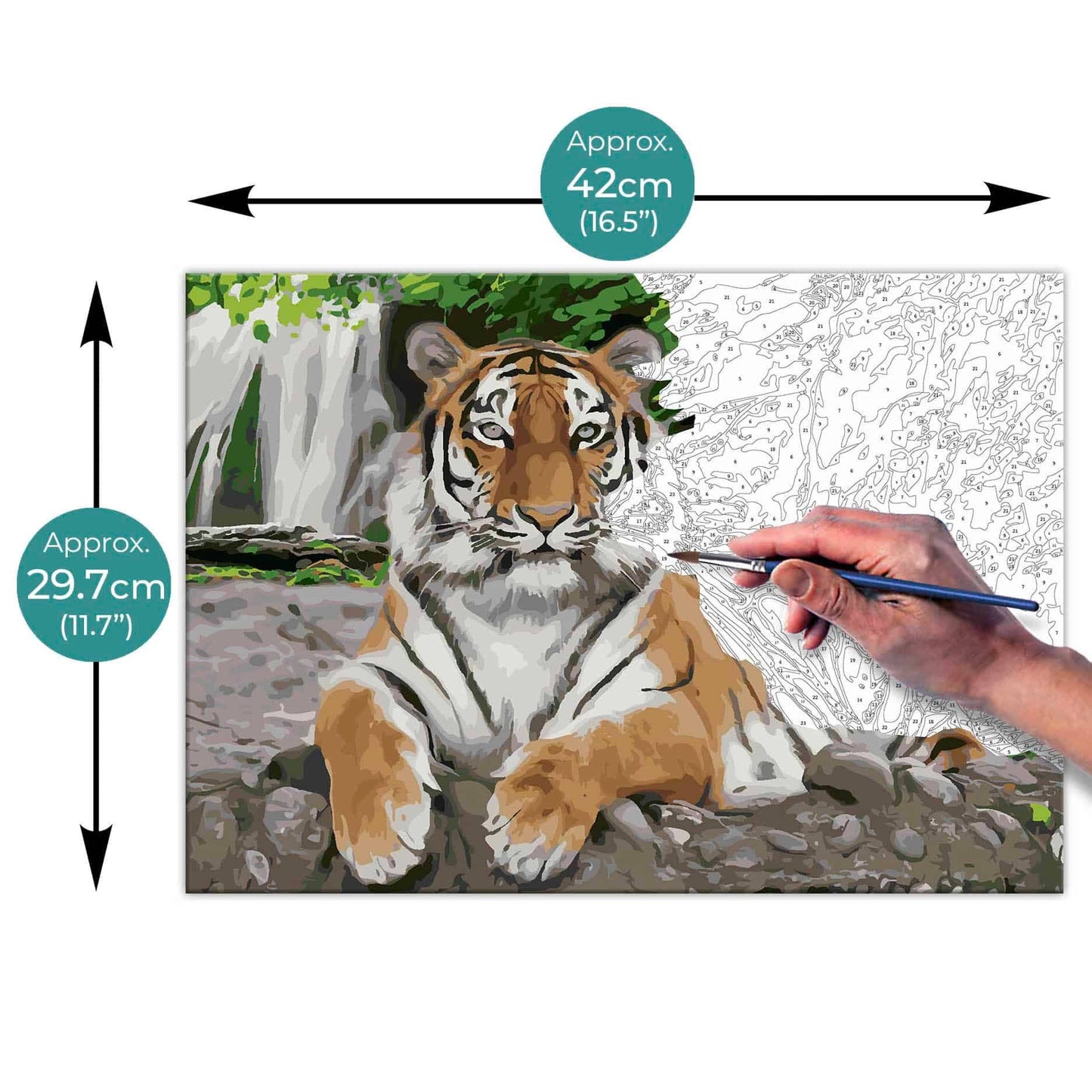 Paint By Numbers on A3 Canvas - Tiger