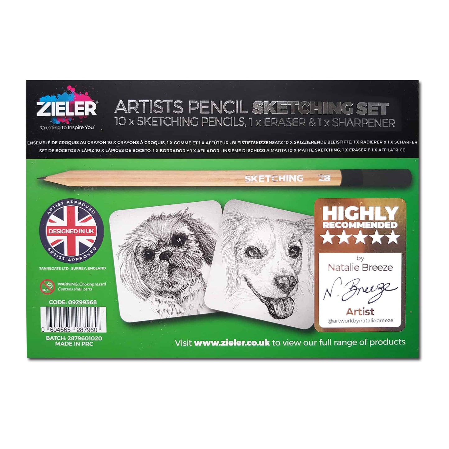 Artists Pencil Sketching Set - 10 Graded Pencils, Eraser