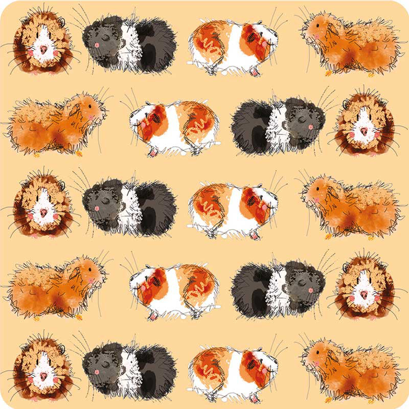 Guinea pigs Coaster