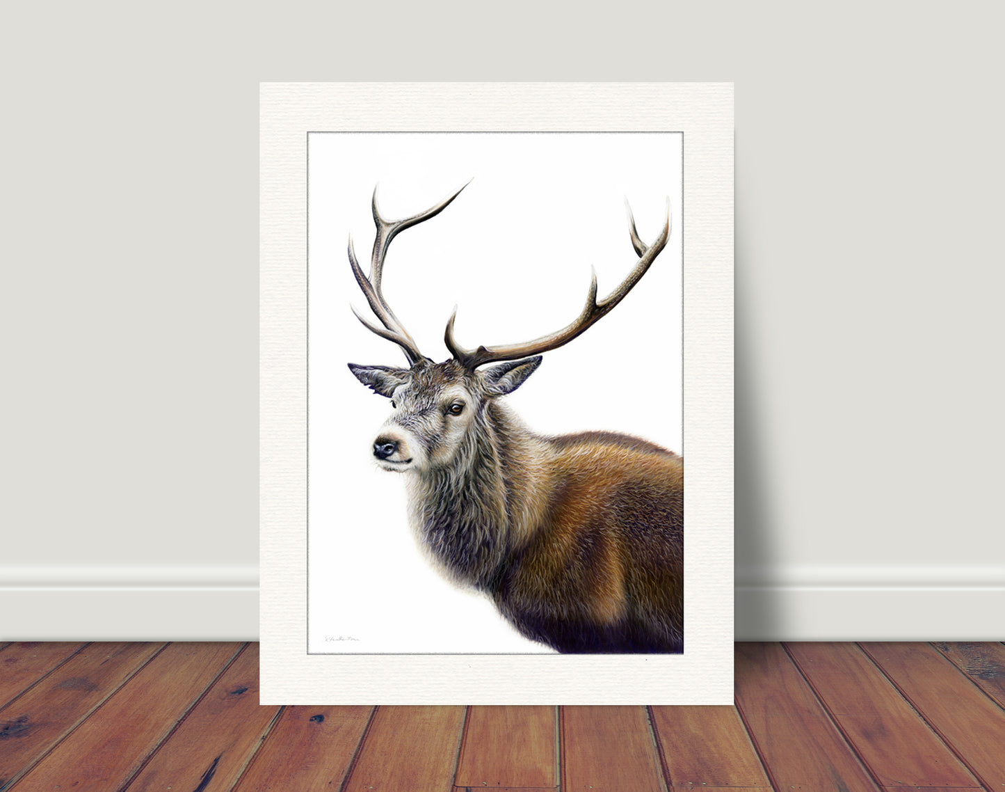 Stag Print
