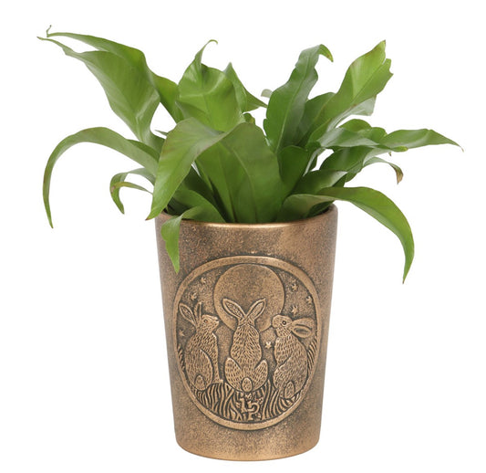 Moon Shadows Hares Terracotta Plant Pot