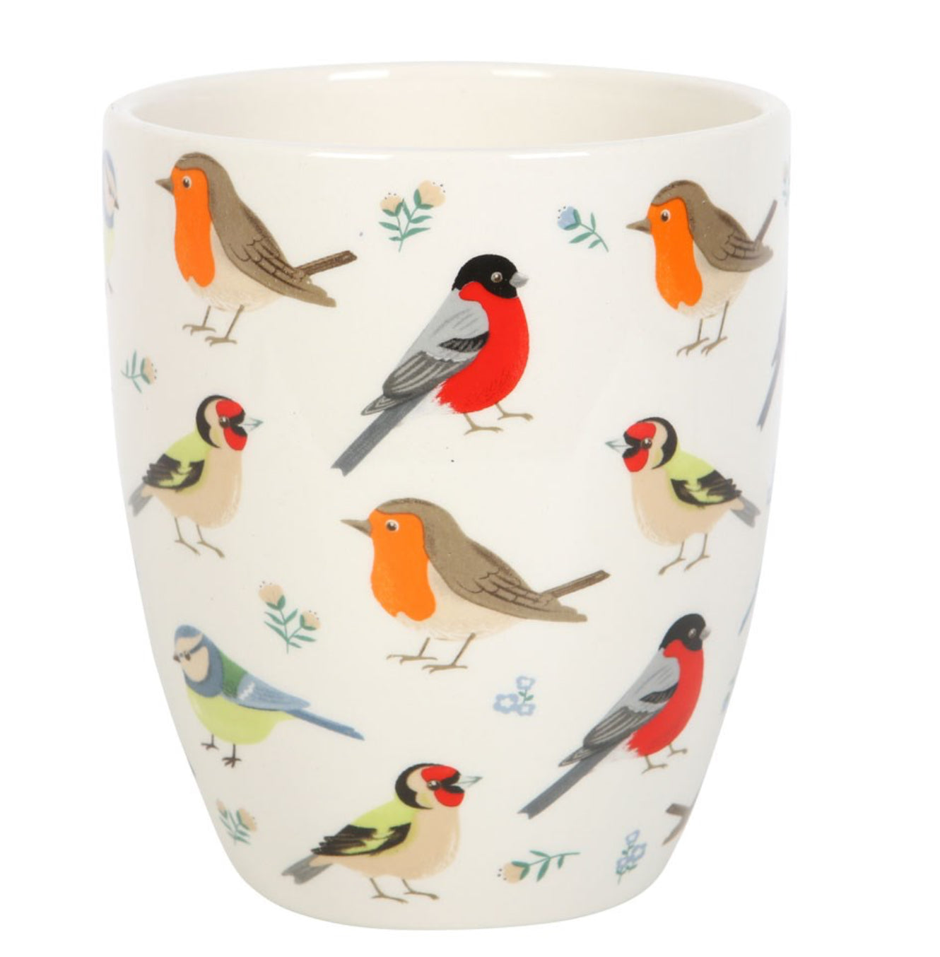 British Birds Ceramic Plant Pot