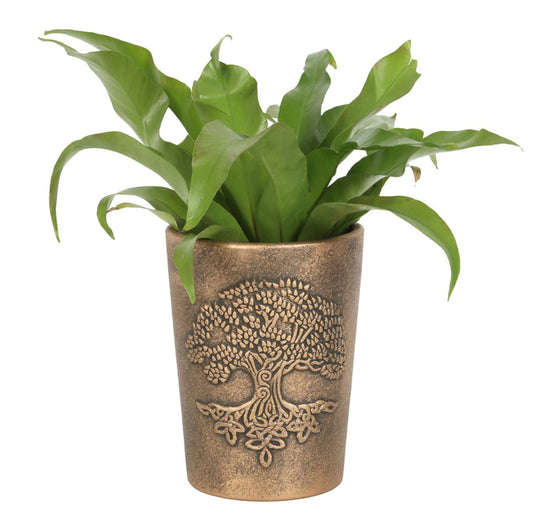 Tree of Life Terracotta Plant Pot