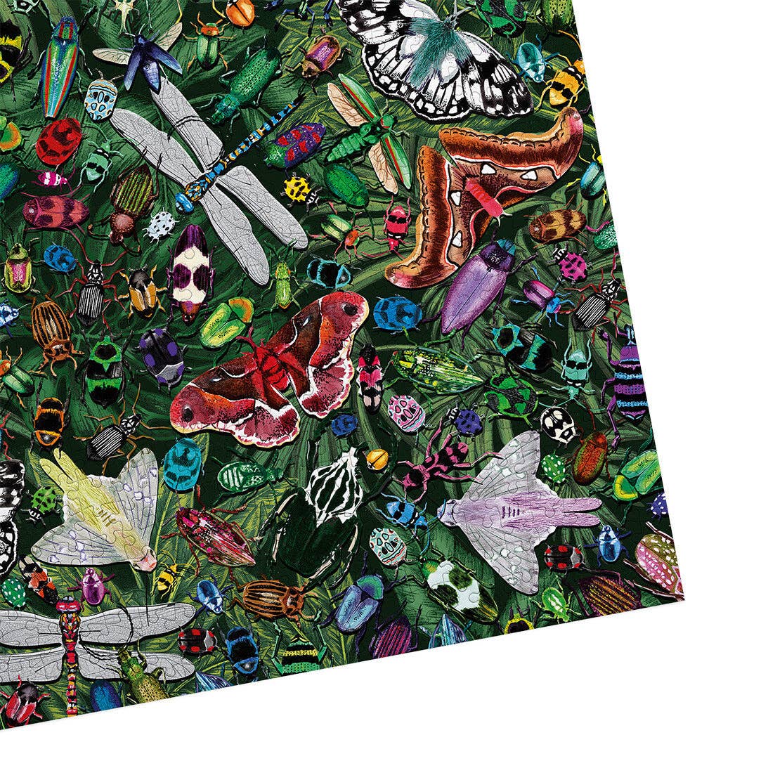 The Art File: Winged Wonders 1000 Piece Jigsaw Puzzle