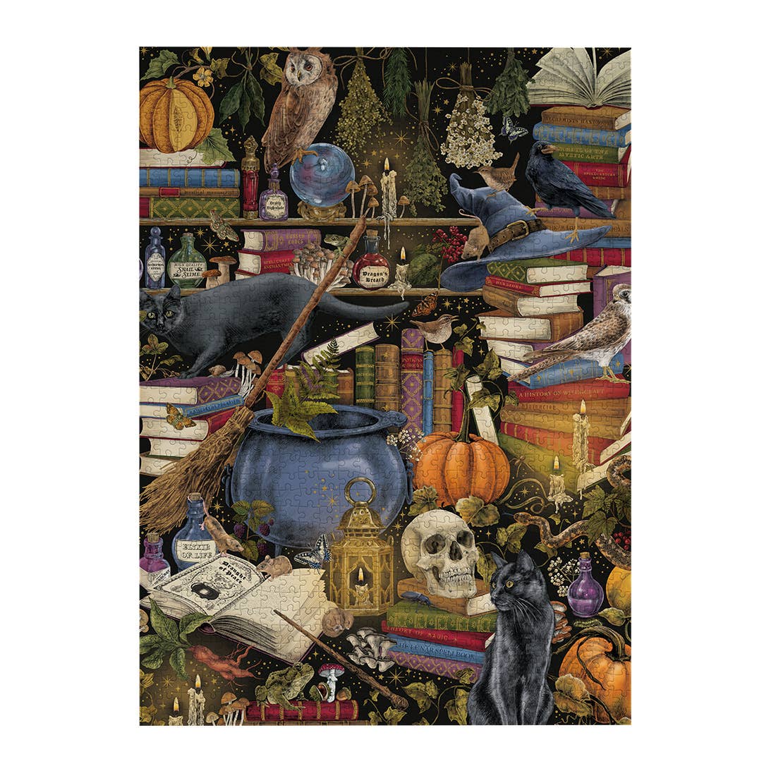 The Art File: Witchcraft 1000 Piece Jigsaw Puzzle