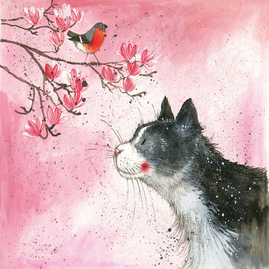 Felix Cat Birthday Card