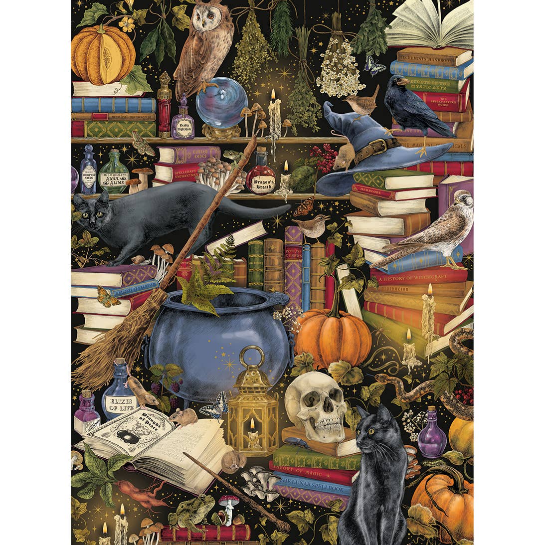 The Art File: Witchcraft 1000 Piece Jigsaw Puzzle